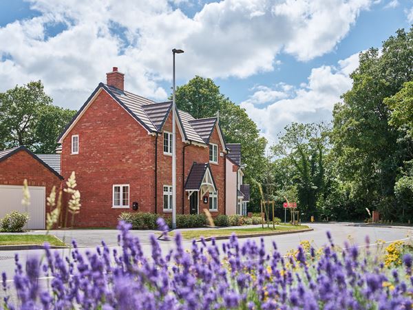 A modern red brick premium new build house with lavender in the foreground at Kenilworth Gate.