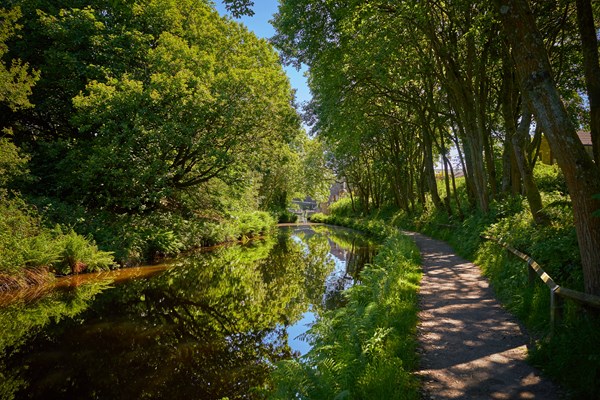Photograph showing a tow path and canal along a green country view with trees and blue skies